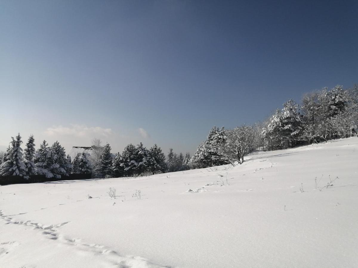 הוילה Pcim Goralska Ostoja מראה חיצוני תמונה